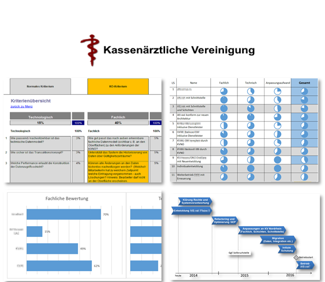 Evaluierung Stammdatensysteme „make or buy“